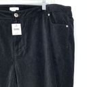 J.Jill  Jeans Women's Size 24W Straight Leg Velour Black Elastic Back NWT Photo 2