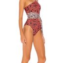 Beach Riot One Piece Leopard Swim Photo 1