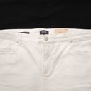 NYDJ NWT  Plus Size‎ Briella Roll Cuff Short In Optic White Size 20 Photo 1