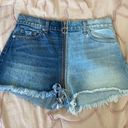 Revice Denim Yin Yang Shorts Photo 2