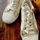 Vintage Havana est. 1964 | ladies Fresh Leather Sneaker.. Size: 6 Photo 0