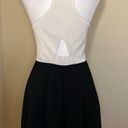 Parker  Black Off White Color Block Fit & Flare Cut Out Mini Dress Small Photo 3