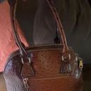 EST.1946 Leather Handbag With Matching Wallet Photo 0