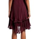 Halston Heritage HALSTON Syrah Sleeveless Pleated Dress with Flounce Detail Photo 1