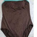 La Blanca  by Rod Beattic Size 14 One Piece Bathing Suit Brown with Blue Straps Photo 0