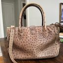 Dooney & Bourke  Embossed Ostrich Taupe Leather Convertible Satchel Shoulder Bag Photo 1