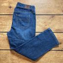 Tommy Hilfiger  American Spirit Jeans Skinny Mid Rise Size 8 Cropped Capri Photo 1