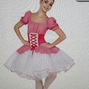 Wish A  Come True Appalachian Spring White Tutu Lace Up Red Gingham Dance Ballet Dress, size S Photo 3