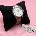 Coach  Classic Signature White Dial Ladies Watch New in Box Photo 1