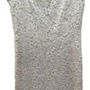Silence + Noise  Lace Mini Dress with Sheer Mesh Cap Sleeves Ivory Size Medium Photo 2