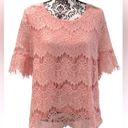 Absolutely Famous  💓LADIES XL💓PINK LACE TOP TUNIC SHORT SLEEVED SEMI SHEER Photo 2