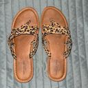 American Eagle Outfitters Cheetah Flats Photo 0