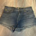 7 For All Mankind Shorts Photo 0