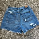 American Eagle High Rise Distressed Mom Shorts Size 10 Photo 1