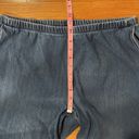 Lands'End Lands’End women’s sport knit straight leg pull on jeans size large .(14-16) Photo 4