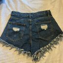 BuddyLove Jean Shorts Photo 2