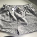 Brandy Shorts Photo 2