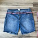 Lane Bryant  Plus Size 26 Jean Shorts Photo 2