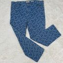 LOGO By Lori Goldstein LOGO Lori Goldstein | blue floral pattern straight leg plus size jeans Photo 0