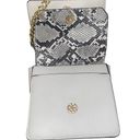 Kensie NWOT!  Snakeskin Trim Chain Crossbody Photo 3