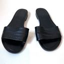 Everlane  9 Modern Black Leather Slide Sandals Photo 6