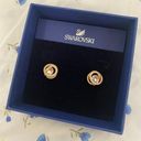 Swavorski Generation Gold Diamond Circle Earrings Photo 0