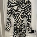 H&M Navy Blue Zebra Print Dress Photo 0