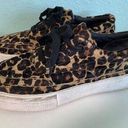 ALLSAINTS Women's Cheetah Fur Print Size‎ 40 Photo 0