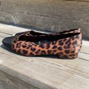 ZARA Leopard print with black cap toe slip on flats 6.5 Photo 1