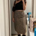 Brandy Melville Maxi Skirt Photo 1