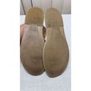 Sperry  TOPSIDERS SEAPORT TAN LEATHER SANDALS WOMENS SZ 9 Photo 8