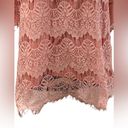 Absolutely Famous  💓LADIES XL💓PINK LACE TOP TUNIC SHORT SLEEVED SEMI SHEER Photo 5