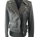 Walter Baker NWT Leather Moto Jacket Photo 0