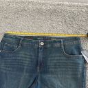 Style & Co  Tummy Control High Rise Slim leg denim jeans Size 16WP Photo 2