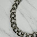 Anne Klein  Lion Head Concho Silver Tone Metal Chain Link Belt OS One Size Photo 11