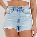 American Eagle Outfitters Denim Shorts Photo 0