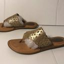 Born concept  slide on Thong sandals women size 9 M Photo 1