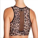 Bebe [ Sport] Leopard Mesh Bra Top Photo 1