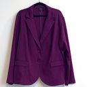 Torrid  Purple Blazer double button Sz 4 Photo 0