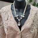 David Rose Beige Mother Of The Bride Lace Skirt & Button Down Shirt 2 Pc Set 22W Photo 1