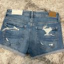 American Eagle Outfitters Shorts Photo 1