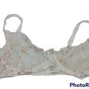 Felina  Cream Lace Embroidered Wired Bra 34D Photo 0