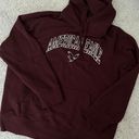 American Eagle Outfitters Hoodie Photo 0
