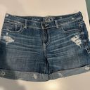 Buckle Black Buckle Jean Shorts Photo 0