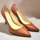 Ralph Lauren Pointed Toe Pumps- Adena High -Heel Photo 0