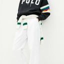 Polo  Ralph Lauren Rainbow Stripe Sleeve Logo Hoodie Small RARE Photo 1