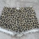 Amuse Society Cheetah  Shorts Photo 2