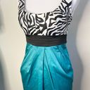 City Triangles City Triangle Formal Sleeveless Zebra Print Bodice Dress Size 3 Beautiful Combo Photo 1