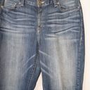 Lane Bryant Blue Skinny Jeans Size 16R Photo 1