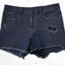 Good American  Distressed Black Jean Cut Off Shorts Size 14/32 Animal Print Patch Photo 0